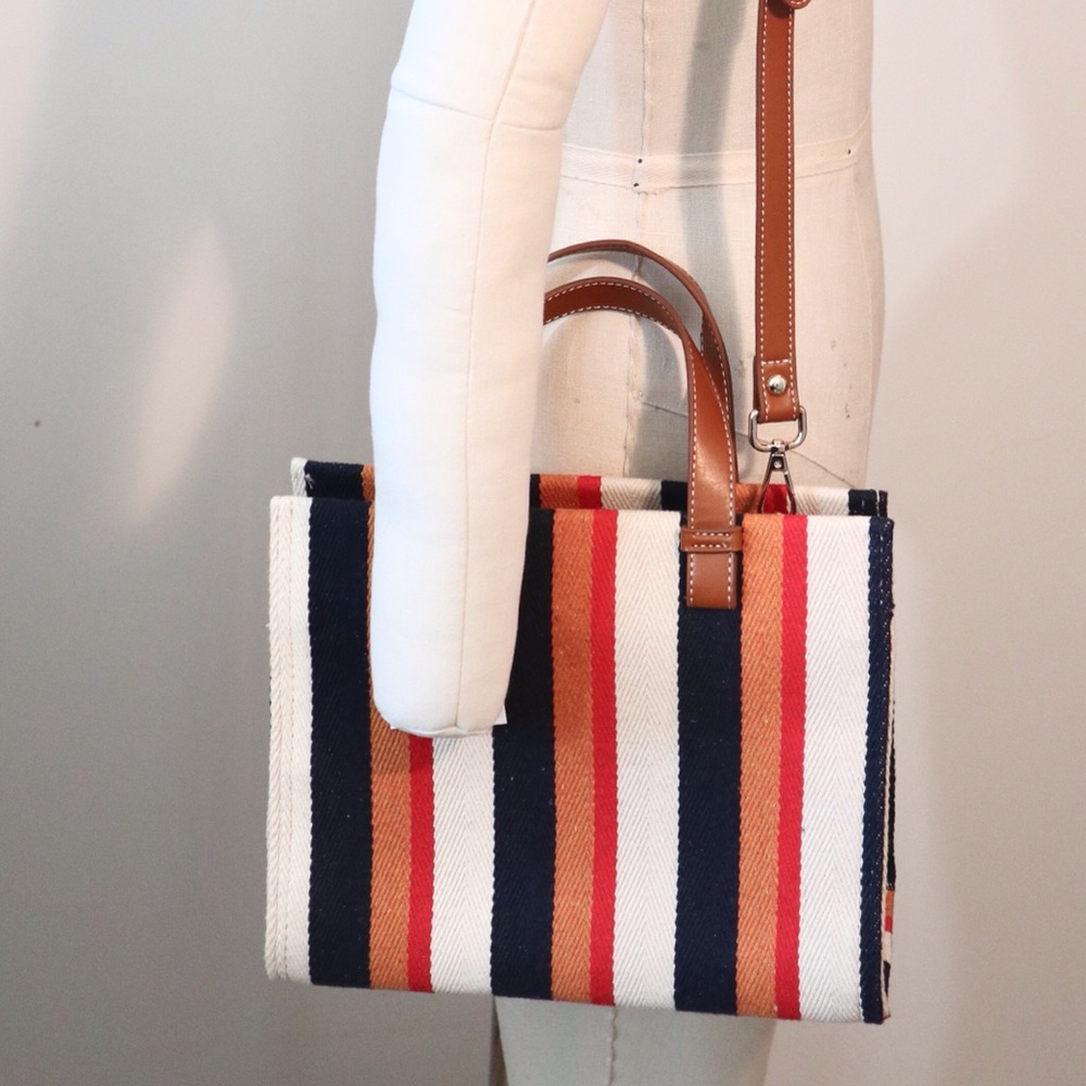 Zara Striped Crossbody Bag